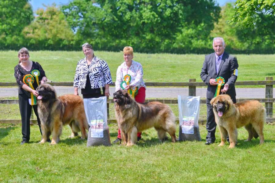 2016 Open Show - Best In Show winners lineup