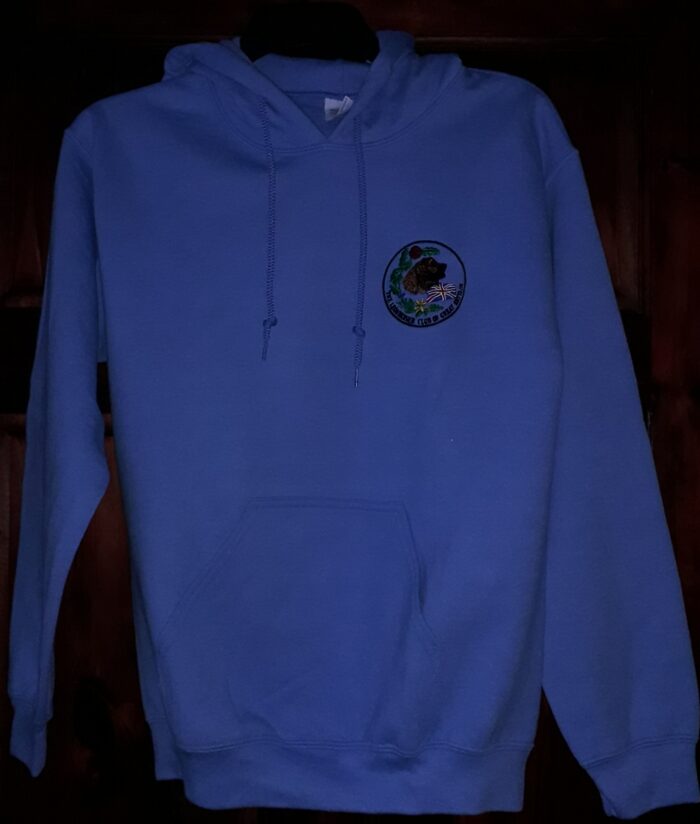 Hoodie with a Small Logo - Image 2