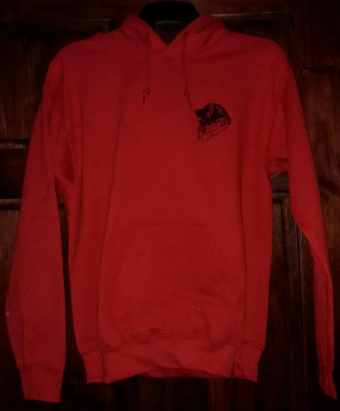 Hoodie with a Small Logo