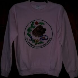 Sweat Shirt with a Large Logo