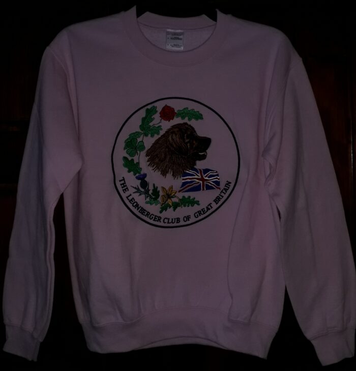Sweat Shirt with a Large Logo