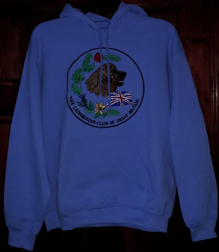 Hoodie with a Large Logo