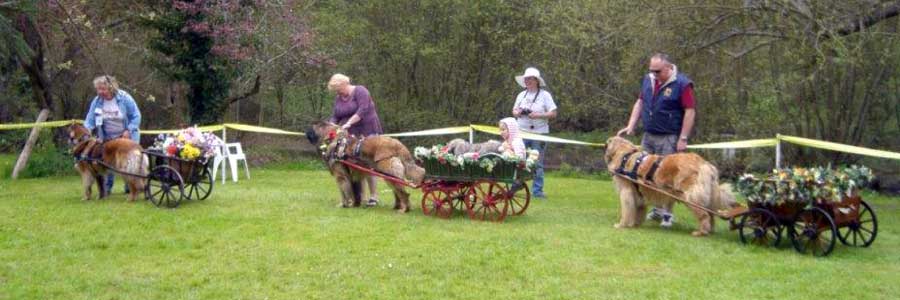 Carting Draught work