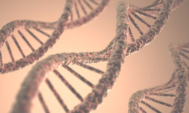 DNA structure DNA structure