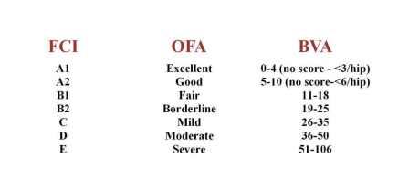 Hip scores - equivalents table