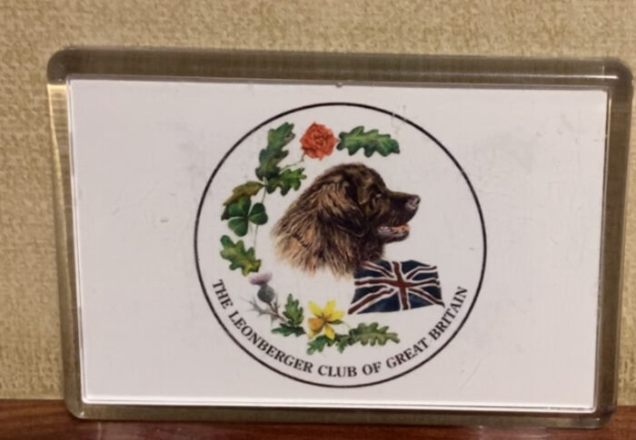 Fridge Magnet