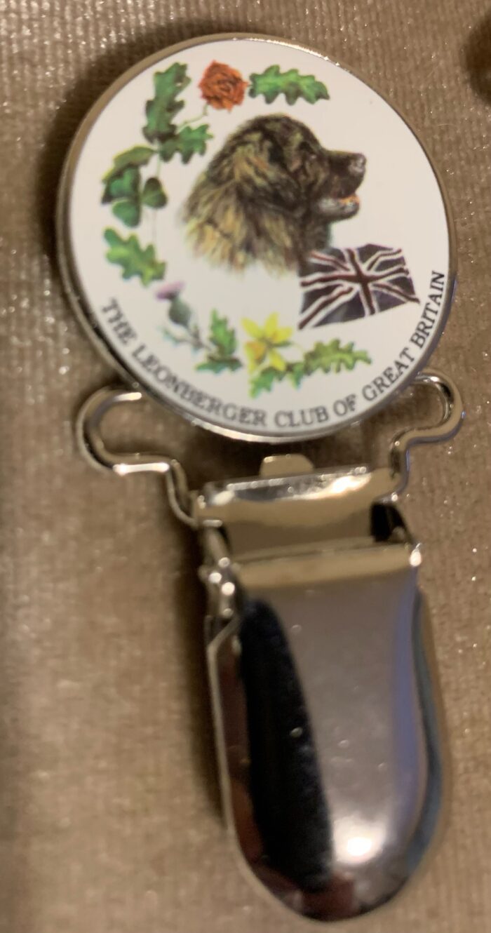 LCGB Ring Clip