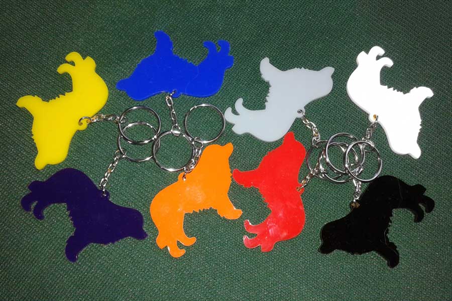 Acrylic keyrings in assorted colours