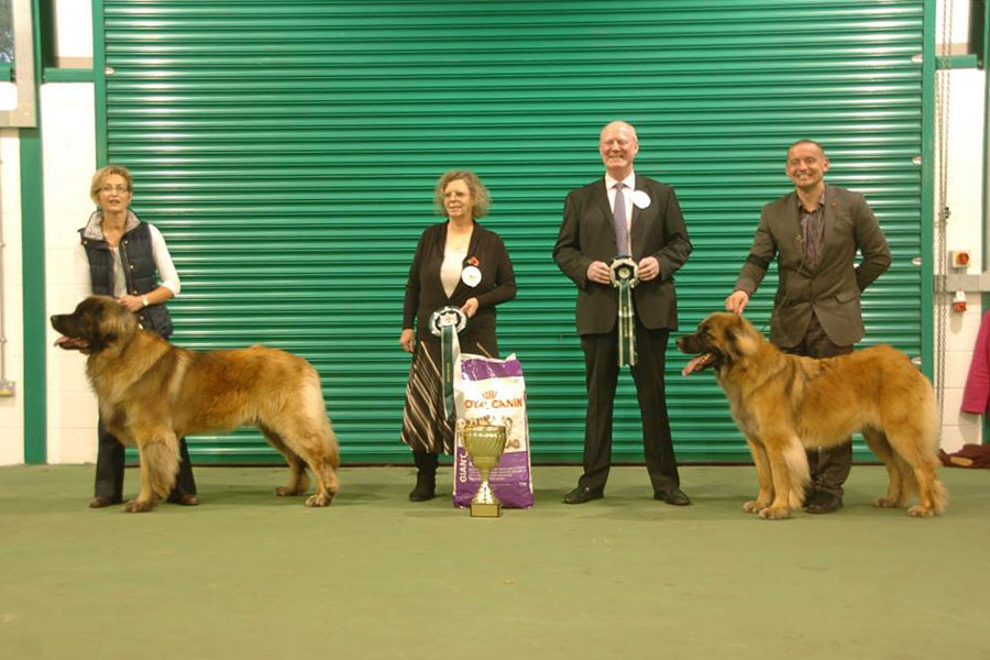 2013 Championship Show winners