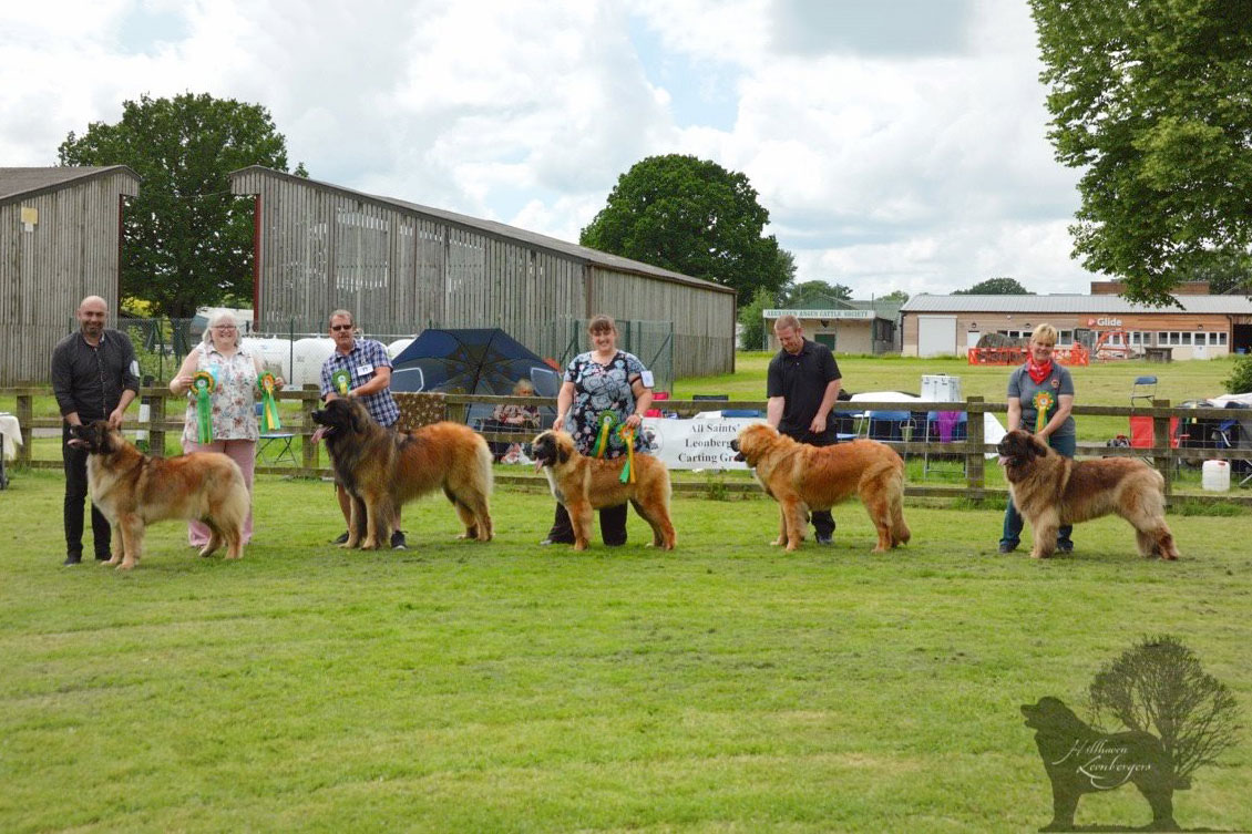 2018 Open Show winners line-up