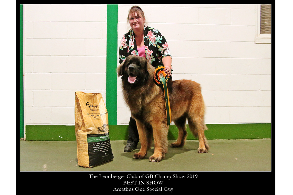 2019 Champ Show - Best in Show