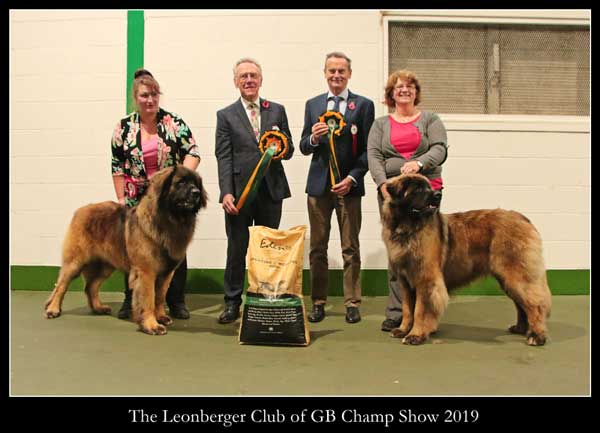 2019 Championship Show Winners