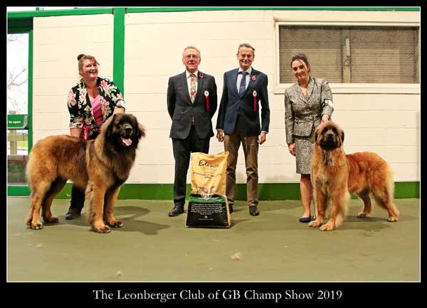 2019 Championship Show Winners