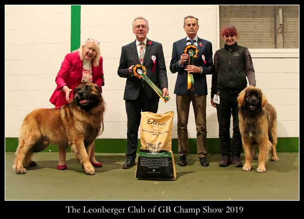 2019 Championship Show Winners