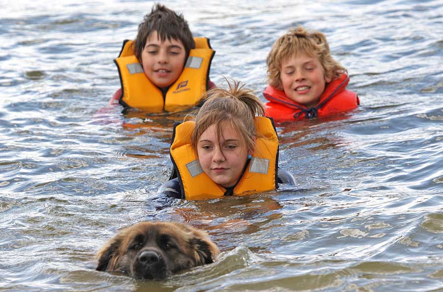 Children being towed in water by a Leonberger